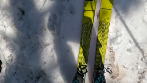 Yellow touring skis resting on spring snow